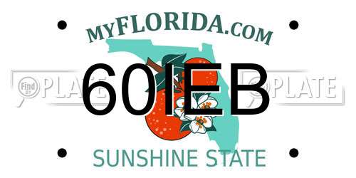 60IEB Florida License Plate