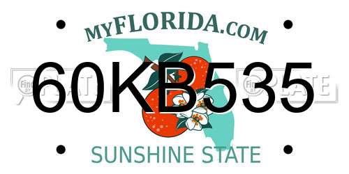 60KB535 Florida License Plate