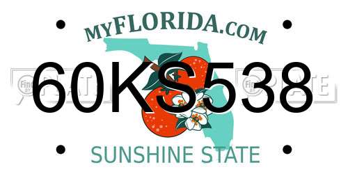 60KS538 Florida License Plate