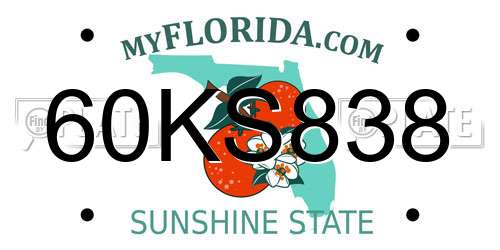 60KS838 Florida License Plate