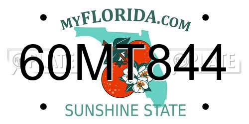 60MT844 Florida License Plate