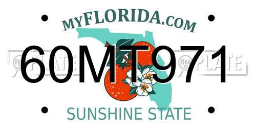 60MT971 Florida License Plate