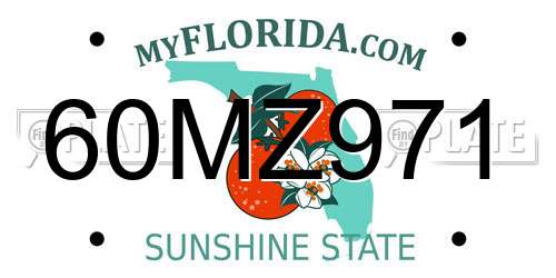 60MZ971 Florida License Plate