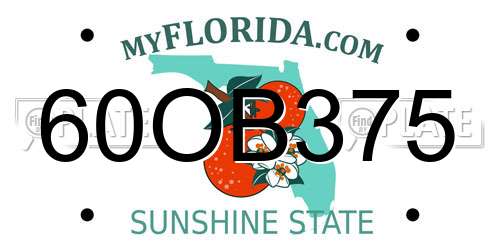 60OB375 Florida License Plate