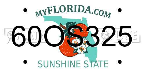 60OS325 Florida License Plate