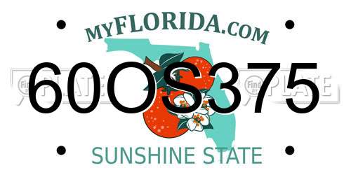 60OS375 Florida License Plate