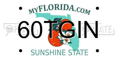 60TGIN Florida License Plate