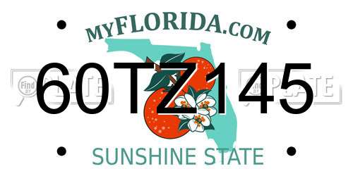 60TZ145 Florida License Plate