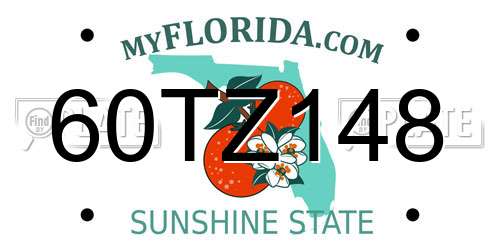 60TZ148 Florida License Plate
