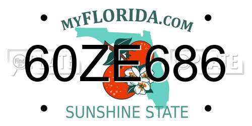 60ZE686 Florida License Plate