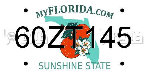 60ZT145 Florida License Plate
