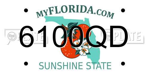 6100QD Florida License Plate