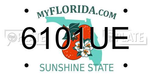 6101UE Florida License Plate