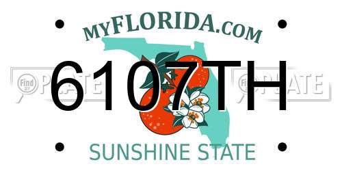 6107TH Florida License Plate