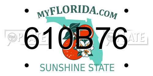 610B76 Florida License Plate