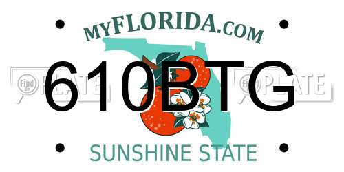 610BTG Florida License Plate