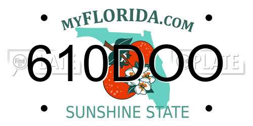 610DOO Florida License Plate