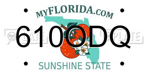 610ODQ Florida License Plate