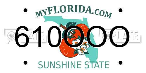 610OOO Florida License Plate