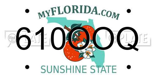 610OOQ Florida License Plate