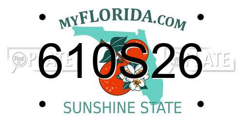 610S26 Florida License Plate