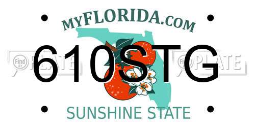 610STG Florida License Plate