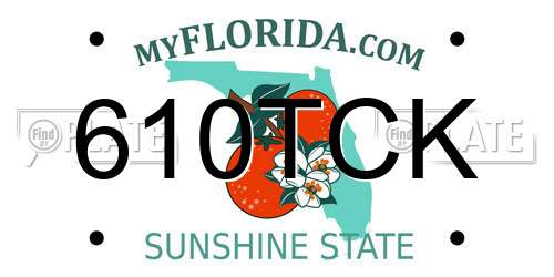 610TCK Florida License Plate