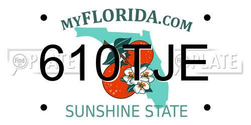 610TJE Florida License Plate