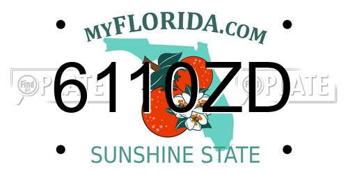 6110ZD Florida License Plate