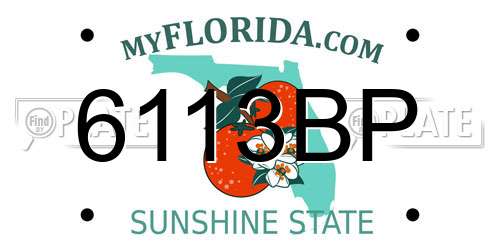 6113BP Florida License Plate