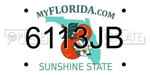 6113JB Florida License Plate