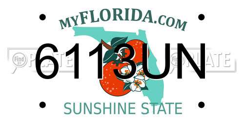 6113UN Florida License Plate