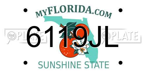 6119JL Florida License Plate