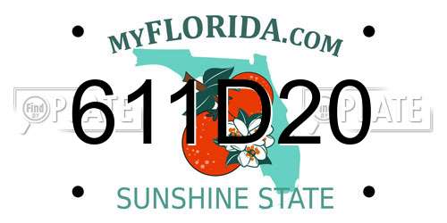 611D20 Florida License Plate