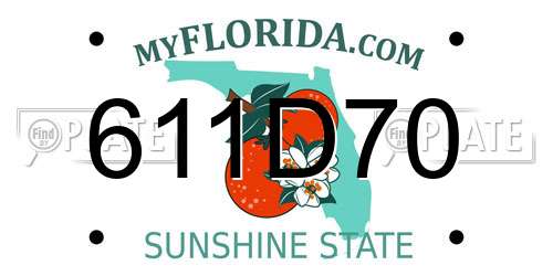 611D70 Florida License Plate