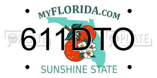 611DTO Florida License Plate