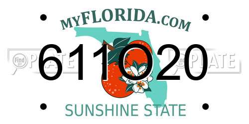 611O20 Florida License Plate