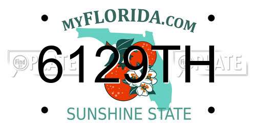 6129TH Florida License Plate