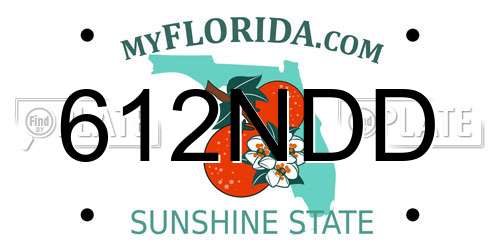 612NDD Florida License Plate