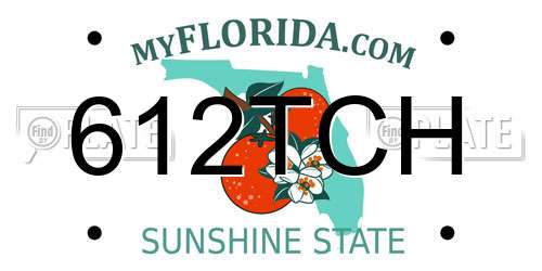612TCH Florida License Plate