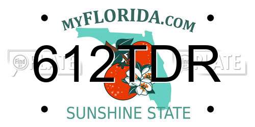 612TDR Florida License Plate
