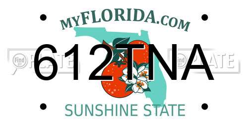 612TNA Florida License Plate