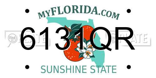 6131QR Florida License Plate