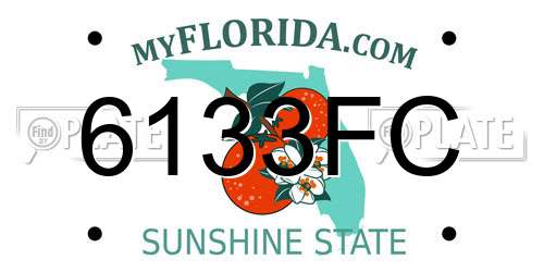 6133FC Florida License Plate