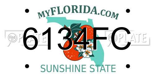 6134FC Florida License Plate