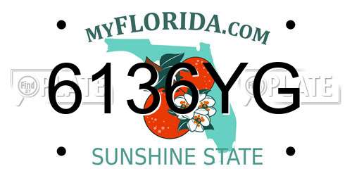 6136YG Florida License Plate