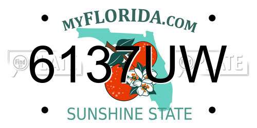 6137UW Florida License Plate
