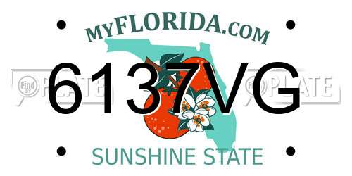 6137VG Florida License Plate
