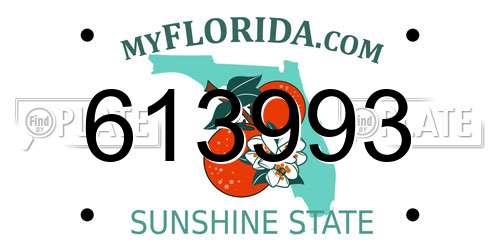 613993 Florida License Plate