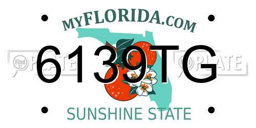 6139TG Florida License Plate